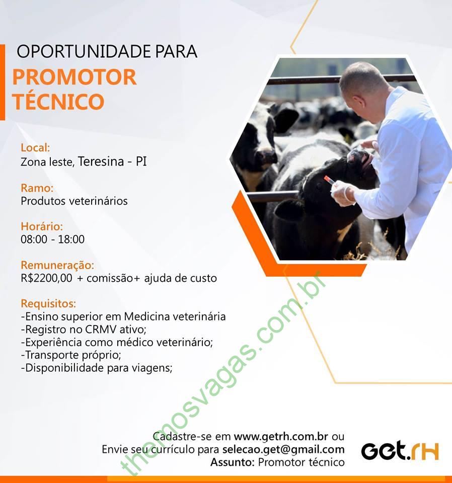 Emprego para Promotor Técnico em Teresina PI Themos Vagas