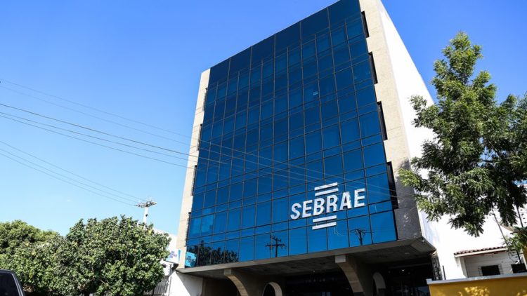 Sebrae – PI abre processo seletivo para Agentes Locais de Inovação – Remuneração R$ 4 mil