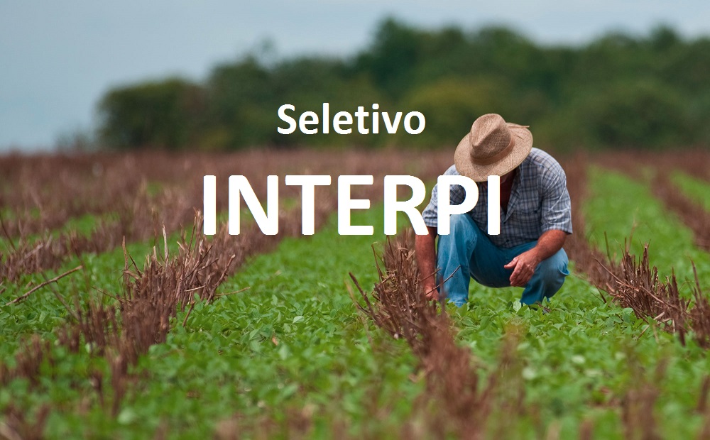 INTERPI abre seletivo com 43 vagas para Assessoria Técnica no Piauí