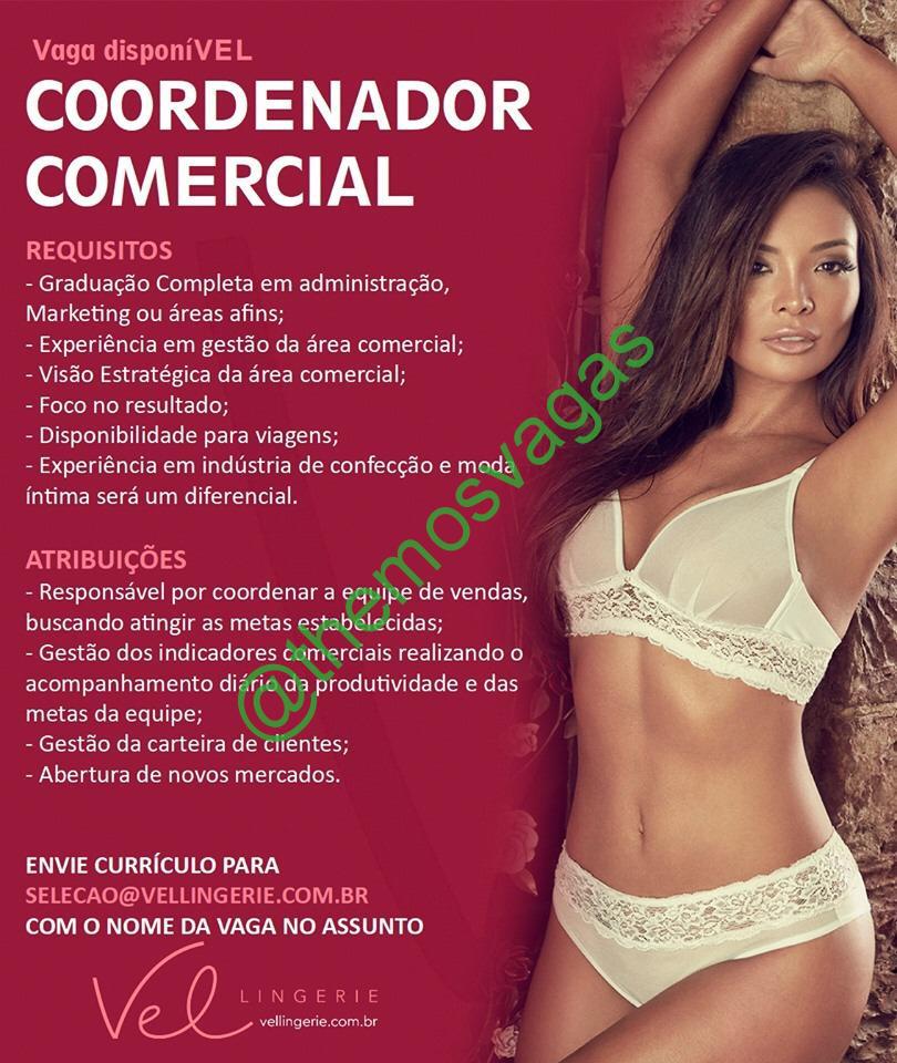 Coordenador A Comercial 01 Vaga S Sobral – Ce Themos Vagas