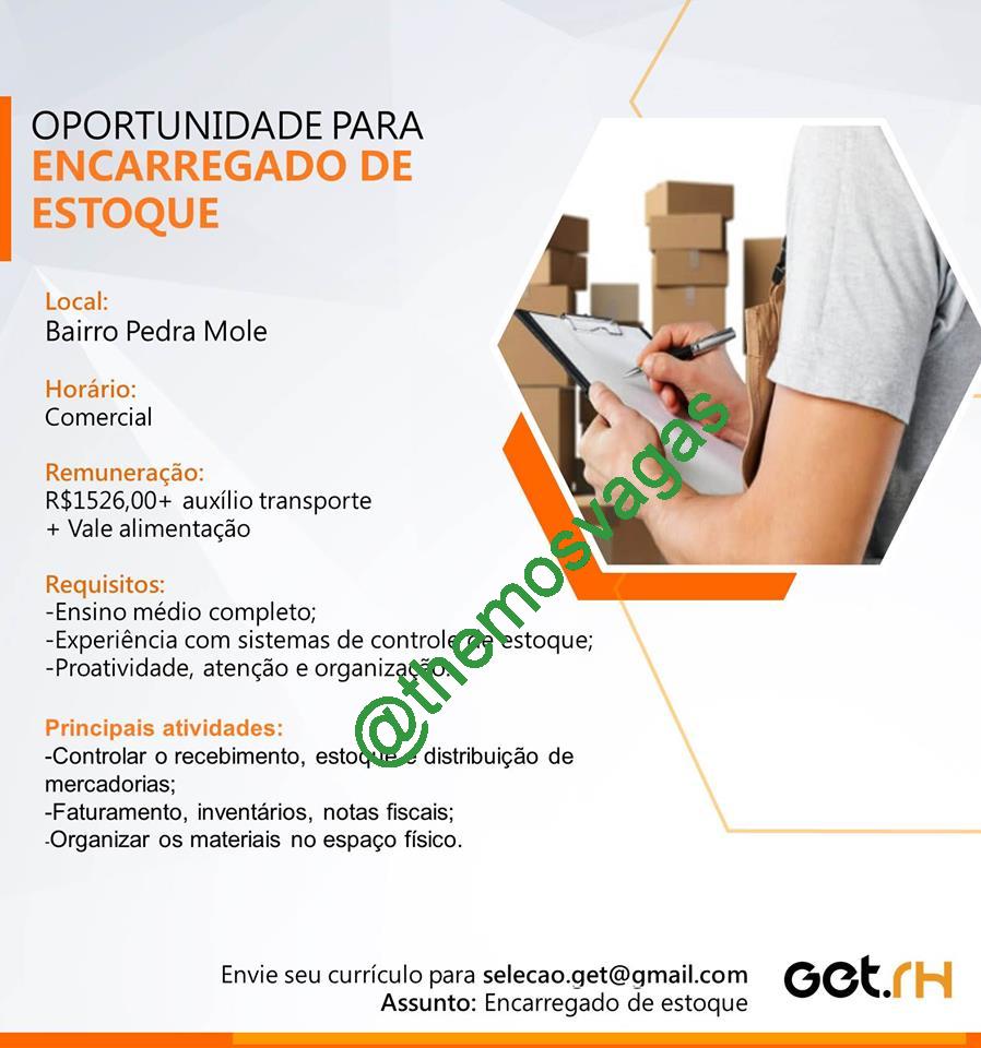 Encarregado De Estoque 01 Vagas Teresina Pi Themos Vagas Empregos E Estágiosthemos 0541