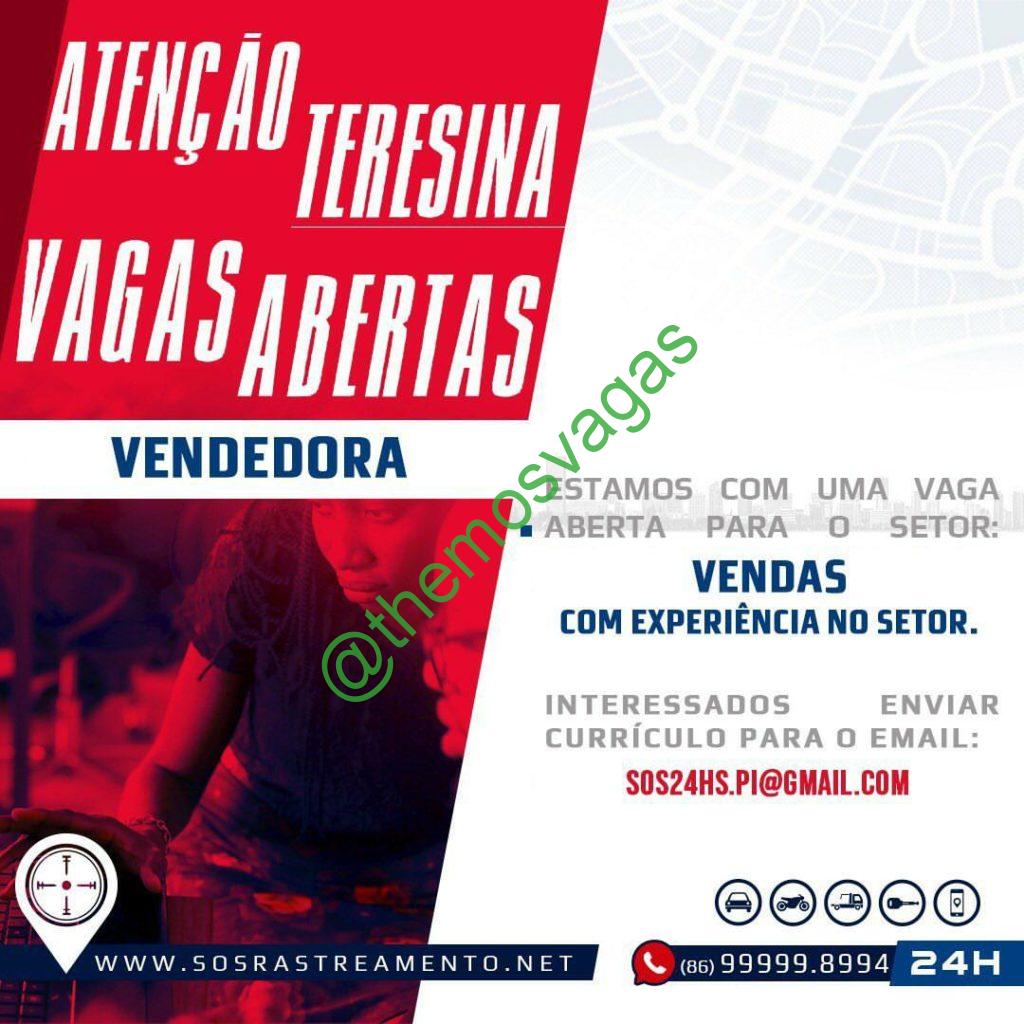 Vendedora 01 Vagas Teresina Pi Themos Vagas Empregos E Estágiosthemos Vagas 5504