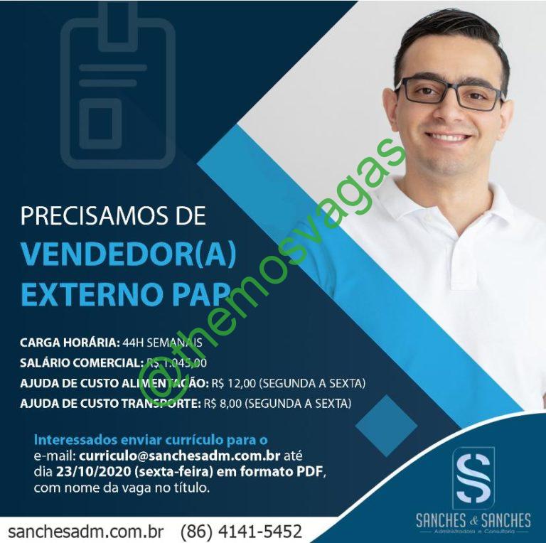 Vendedor(a) Externo PAP Teresina PI 01 vaga(s) Themos Vagas Empregos e EstágiosThemos