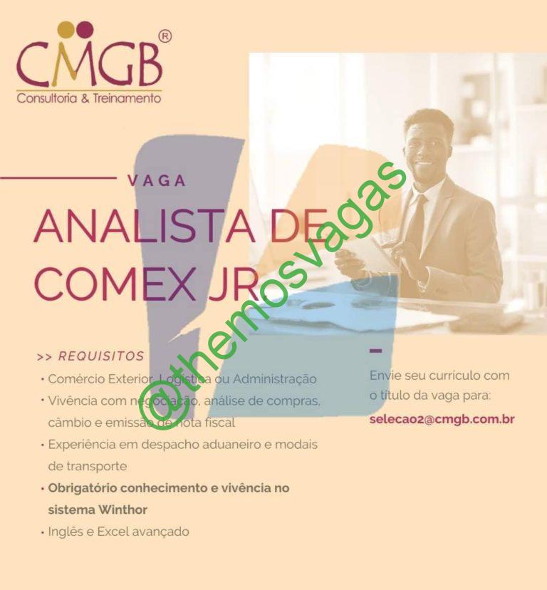 Analista de Comex  Fortaleza – CE  01 vaga(s)  Themos Vagas