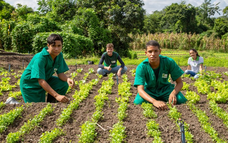 IFPI abre seleção para o curso técnico de agropecuária em José de Freitas