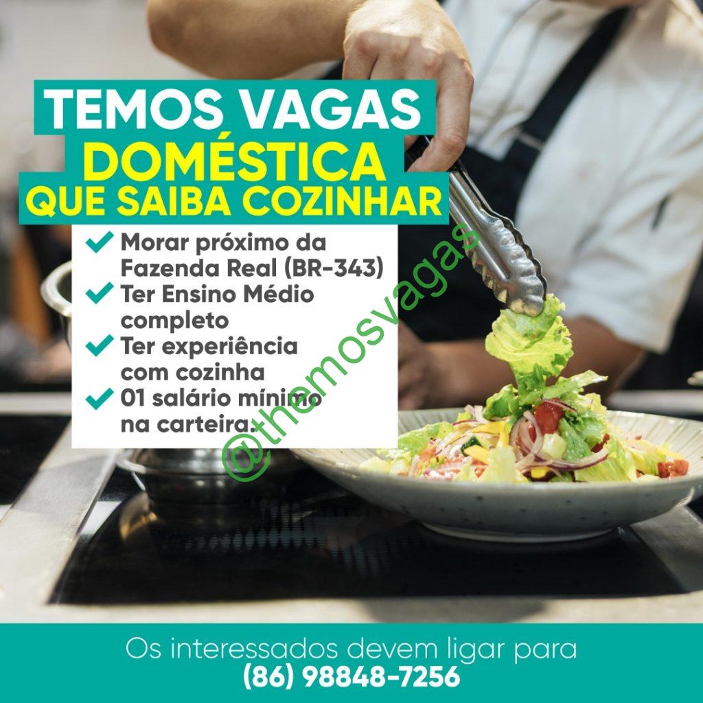 Empregada Doméstica Teresina – Pi 01 Vaga S Themos Vagas