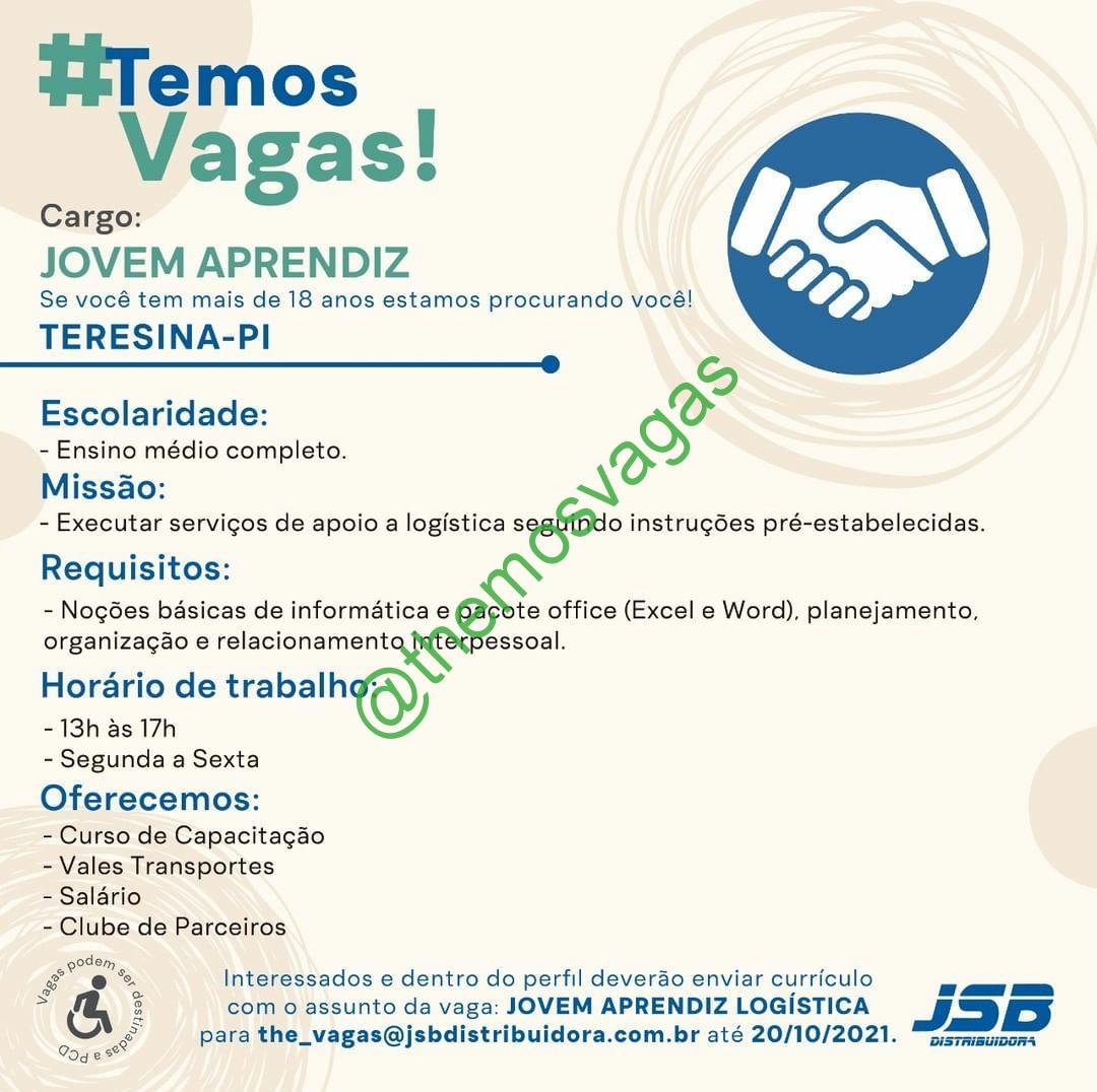 Vaga de emprego para Digitador em Teresina – PI, Themos Vagas, Empregos e  EstágiosThemos Vagas