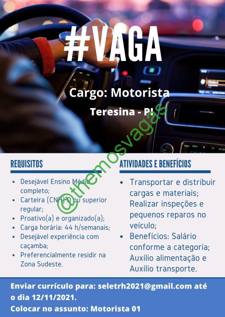 Motorista | Teresina – PI | 01 Vaga(s) | Themos Vagas | Empregos E ...