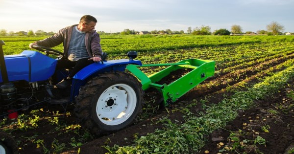 AGROSearch seleciona trabalhadores especializados em agronegócio no Piauí