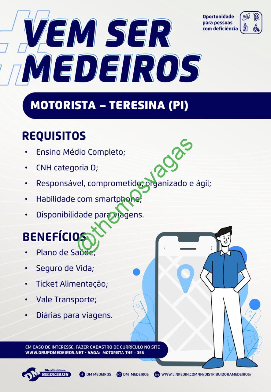 Vendedor(a), Teresina – PI, 01 vaga(s), Themos Vagas, Empregos e  EstágiosThemos Vagas