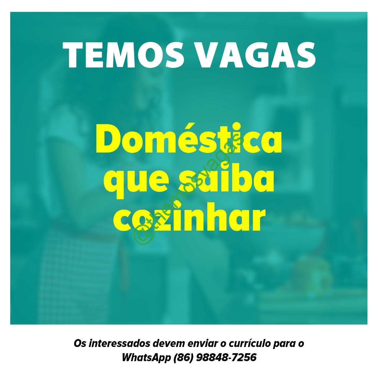 Empregada Doméstica Teresina – Pi 01 Vaga S Themos Vagas