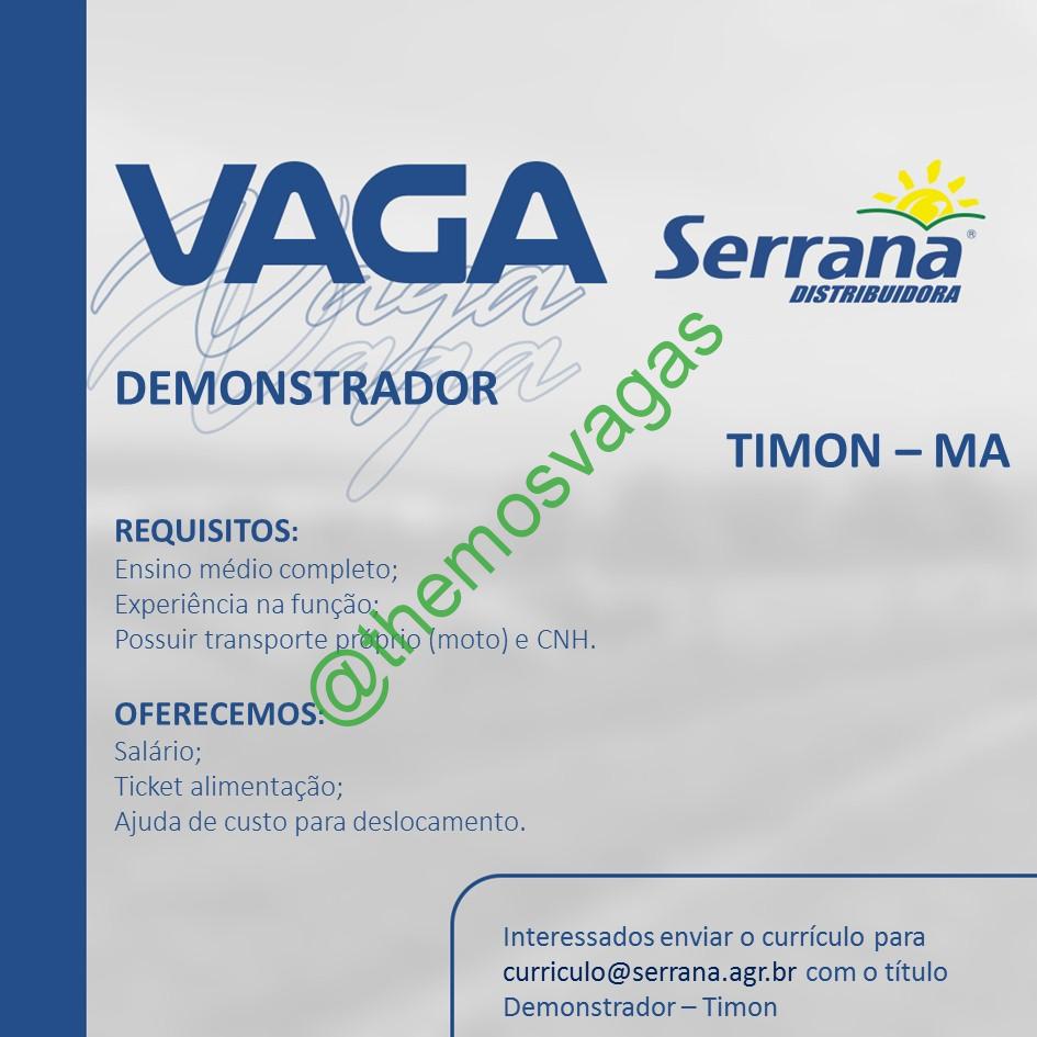 Digitador(a), Timon – MA, 01 vaga(s), Themos Vagas, Empregos e  EstágiosThemos Vagas