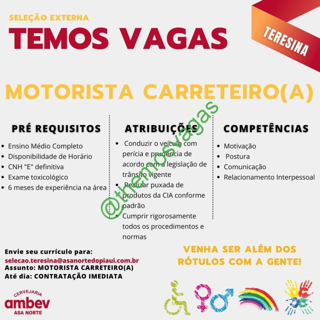 Motorista Carreteiroa Teresina Pi 01 Vagas Themos Vagas Empregos E Estágiosthemos 6981