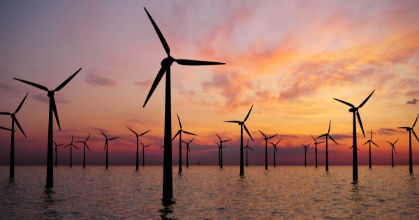 Petrobras avalia novos projetos de energia eólica na costa brasileira; iniciativa contempla o Piauí