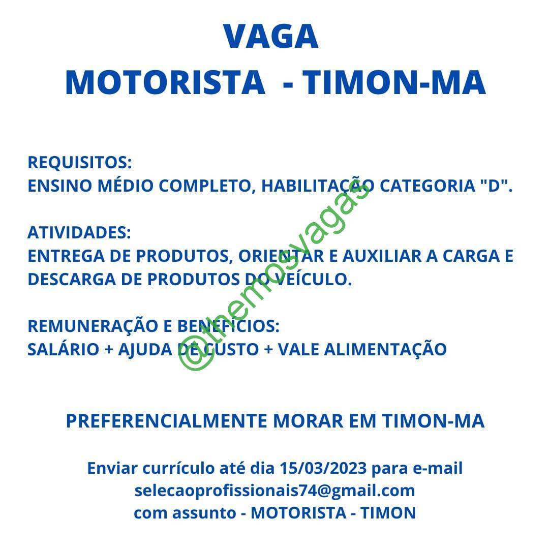 Digitador(a), Timon – MA, 01 vaga(s), Themos Vagas, Empregos e  EstágiosThemos Vagas