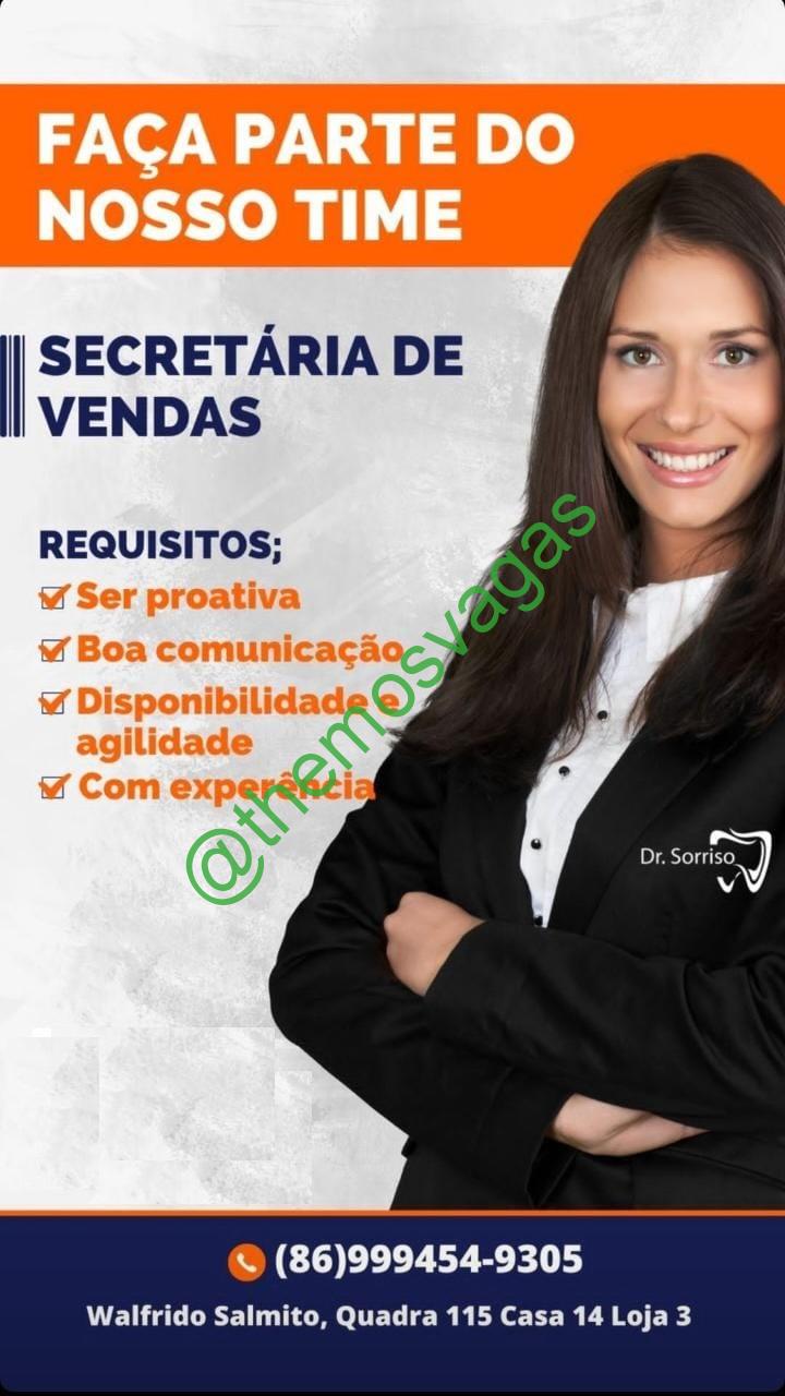 Secretária De Vendas Teresina Pi 01 Vagas Themos Vagas Empregos E Estágiosthemos 