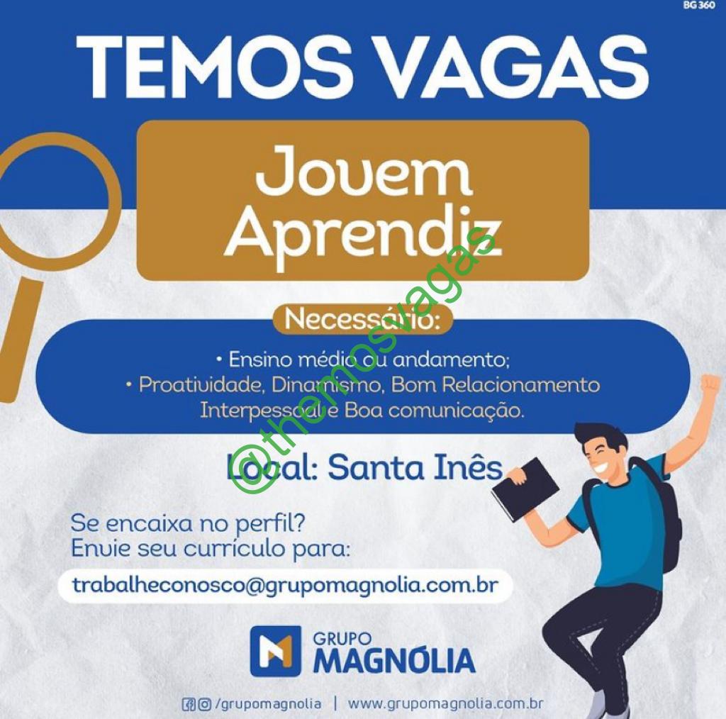 Jovem Aprendiz Santa Inês Ma 01 Vagas Themos Vagas Empregos E Estágiosthemos Vagas 1998