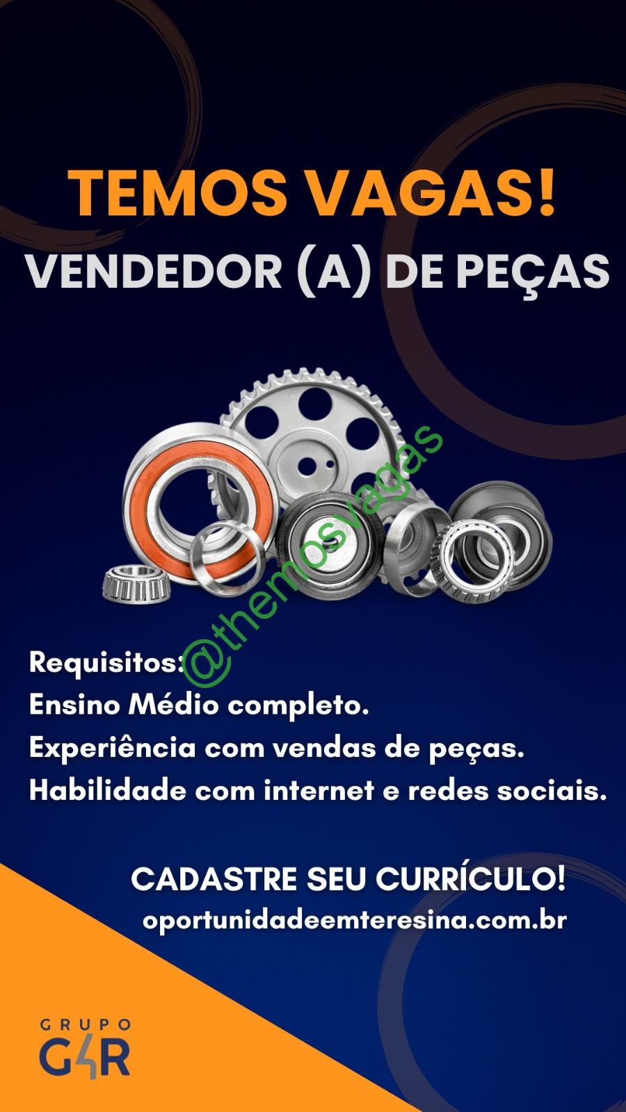 Vendedora De Peças Teresina Pi 01 Vagas Themos Vagas Empregos E Estágiosthemos 7979