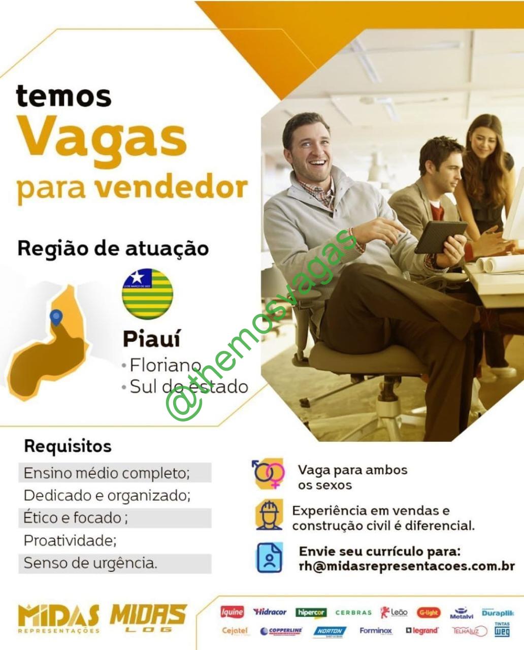 Vendedor Floriano Pi 01 Vagas Themos Vagas Empregos E Estágiosthemos Vagas 1202