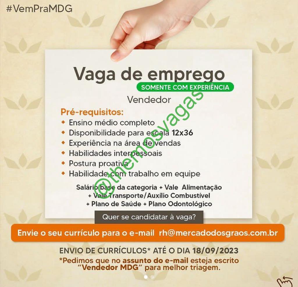 Vendedor(a), Teresina – PI, 01 vaga(s), Themos Vagas, Empregos e  EstágiosThemos Vagas