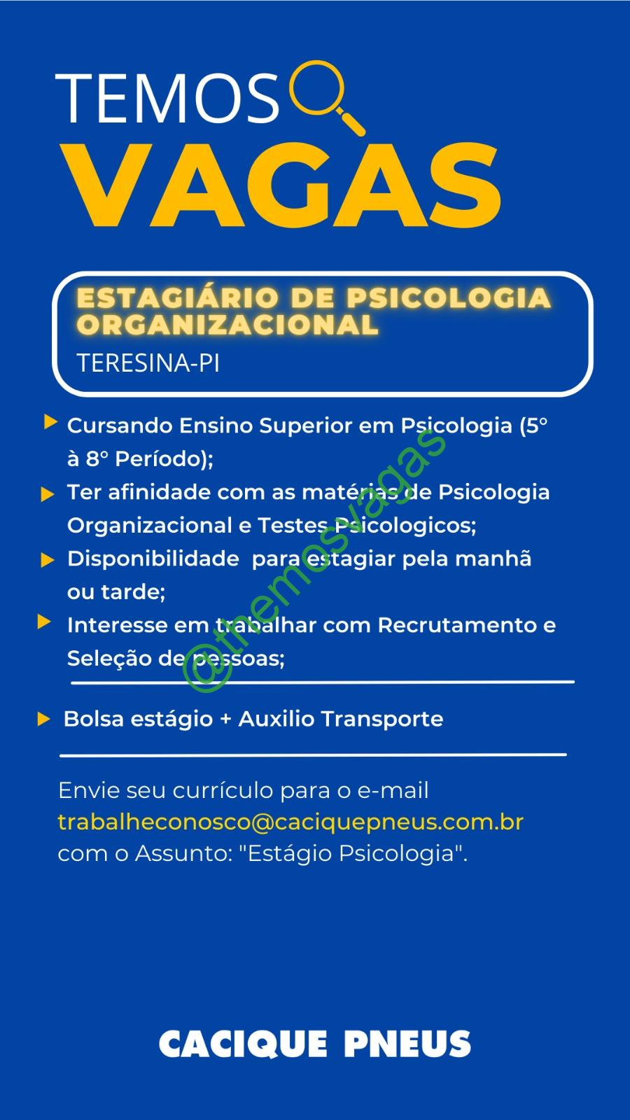 Vendedor(a) na Cacique Pneus Teresina – Portal de Empregos no Piauí