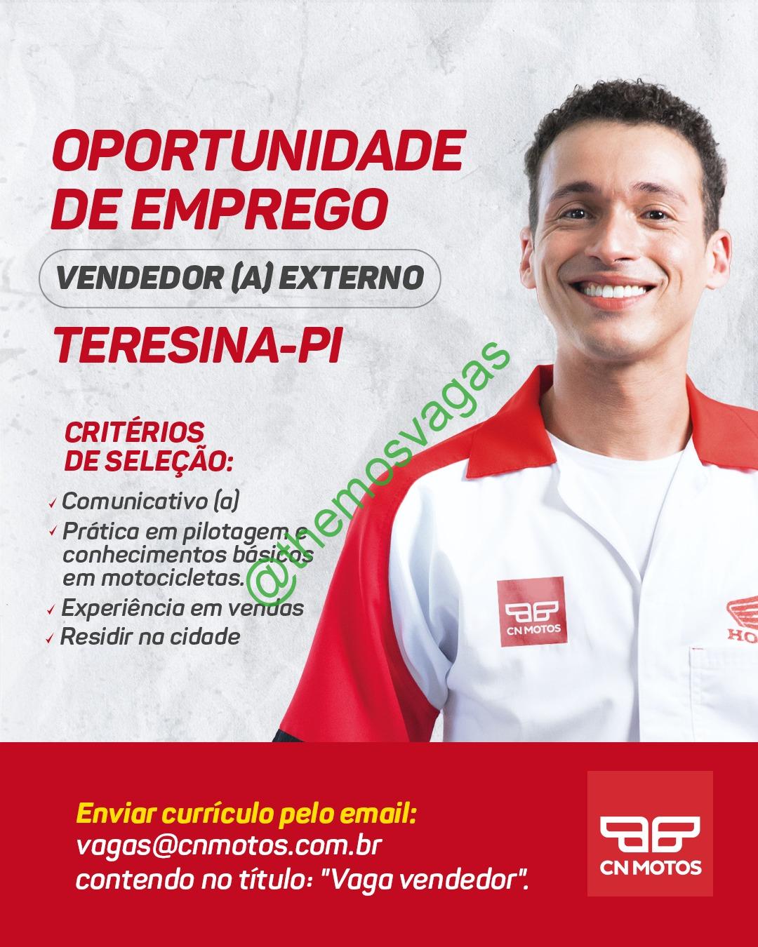 Vendedor(a) Externo, Teresina – PI, 01 vaga(s)