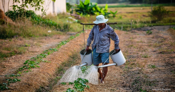 Piauí cria lei que apoia trabalhadores rurais e facilita a reforma agrária